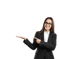 BIZL Consultant